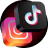 TikTok and Instagram Icon